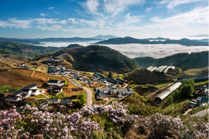 10 AG尊龙登陆电气集团科技兴农 助力凉山火普村打造数字乡村804.png
